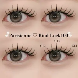 【新規限定】パリバインド80束