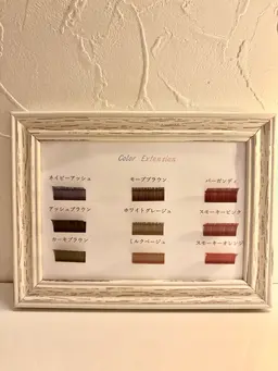 🆕LEDカラエク9種類から選べます🎀🌈プレミアムフラットオフ込み100本