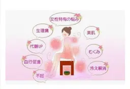 🌿国産無農薬よもぎ蒸し🌿女性のインナーケアにオススメです