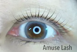 【期間限定】ラッシュリフト