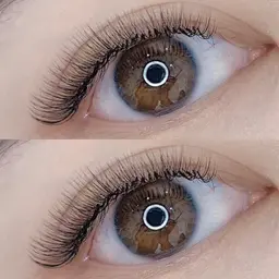 ボリュームラッシュ（3D-6D） 100束