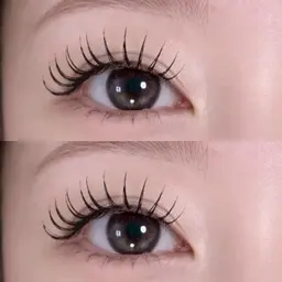 【本日限定】フラットラッシュ100本〜120本