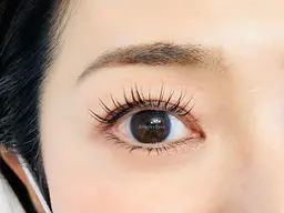 上下パリジェンヌラッシュリフト