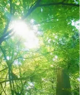 癒しの🌿骨盤周りヒップ🍑アップ⤴️アロマオイルトリートメント30分✨