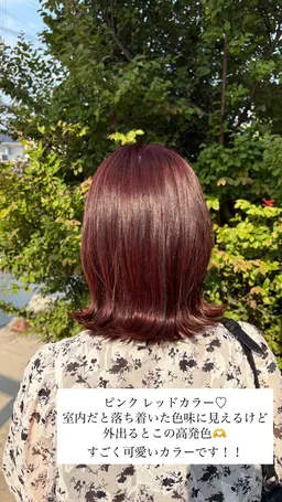 《暖色カラー🍁》全体カラー ➕ ブロー𓂃𓂂🍃