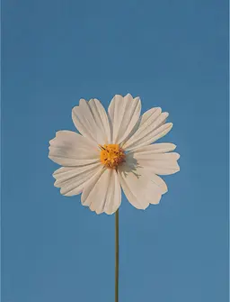 🌿‬似合わせカット＋髪質改善カラー🌿‬