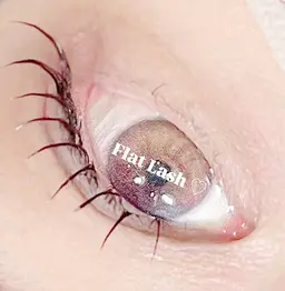 Flat Lash 80本迄 off無料🖤