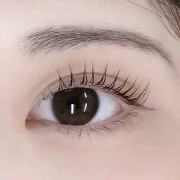 【4月限定】💟パリジェンヌラッシュリフト上 ✨トリートメント・コーティング仕上げ💟【飯田橋/神楽坂】