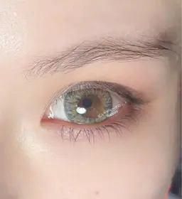 下まつげのみ40本