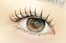 フラットラッシュ140本