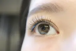 【1ヶ月以降再来】本数選べる★フラットラッシュ40/60/80/100本