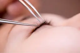 フラットラッシュ80本