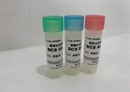 幹細胞エクソソーム導入!!フェイシャル30分