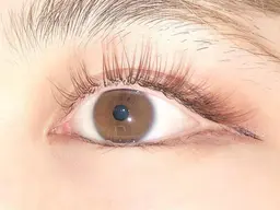 𓆩🤎 ブラウンフラットラッシュ 160本 🤎𓆪