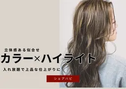 モデル価格💫全体カラー＋ハイライト入れ放題🪄💗