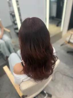 【平日 20:00~】 🎀カラーモデル🎀 ワンカラー＋トリートメント*｡𝝑𝝔˚⟡.•￥2,000