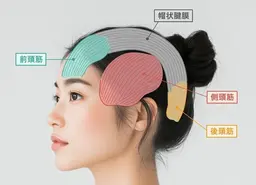 頭浸浴🫧＋筋膜リリーススパ💆