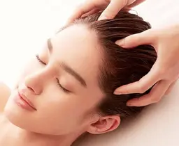 ドライヘッドスパ