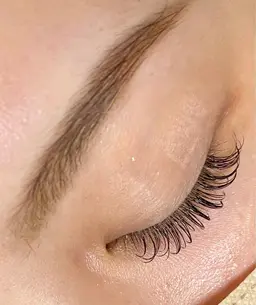 フラットラッシュ 100本