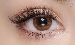 【12月限定】バインドロック80束(240本)オフ込￥5600