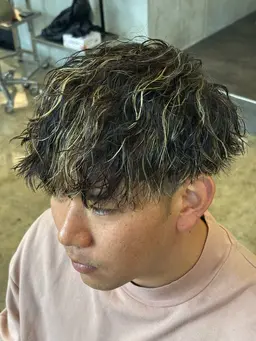 白髪ぼかしハイライトモデル(注意あり)