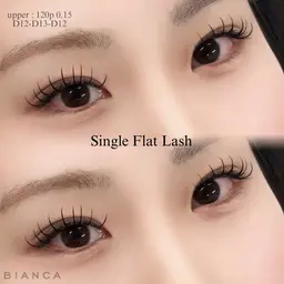 【3月限定】💜しっかり濃さ出し💜シングルラッシュ160本《オフ無》➕保湿トリートメント/クリアコーティング💎/渋谷