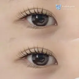 【まつ毛ケアしたい方に🍰🍨🎀】まつ毛パーマ💖ダメージ減3stepトリートメント付き❕高級コーティング仕上げ✨