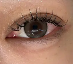 フラットラッシュ 80本✨️《コーティング仕上げ付き♪》