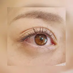 フラットラッシュ ナチュラル80本