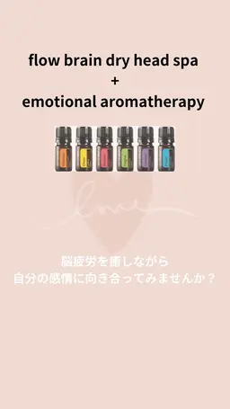 フローブレインドライヘッドにdoTERRAの感情のオイルを使用するメニューのモニターです😊