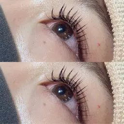 セーブル140本/オフ無料/LEDオフ別途+550円