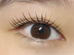 🫧パリジェンヌorオーダーメイドラッシュリフト