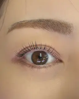 内部補修ラッシュリフト