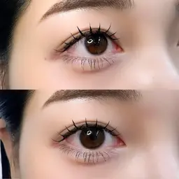 🎀 ご新規様 🎀 フラットラッシュ100本｜ブラウンに変更可◎｜下まつげメニュー追加可◎LEDに変更可◎