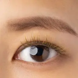 Newカラー🍃モードカーキ🍃フラットラッシュ120本［亀戸/錦糸町］