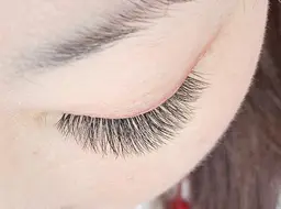 ♡ 3Dボリュームラッシュ 80束 ♡(240​〜​320本)