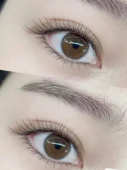 ★セーブル170本¥8580円→¥6300円