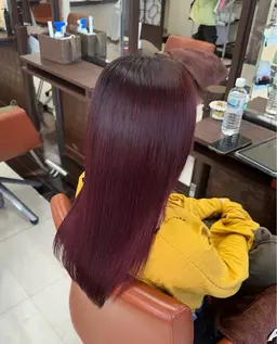 ワンカラーモデル