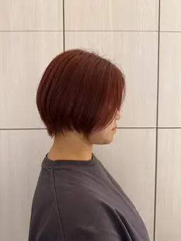 カット(レディース、メンズ)