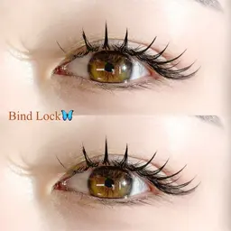 🎁クリスマス限定クーポン🎄バインドロック60束〖シングル約120本の濃さ〗★スーパーロック付き★