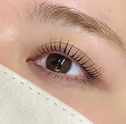 【新規】💫🩵〈まつパorパリ〉🩵💫アイブロウカラー/間引き付🉐¥4,400〜(上のみ)エクオフ不可⚠️