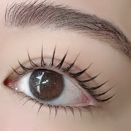 《12月平日限定価格》人気No.1🤍パリジェンヌラッシュリフト【4000円】根本からしっかり立ち上げデザイン🫧