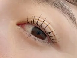 ✳︎選べる✳︎  パリジェンヌ/まつげパーマ（仕上げコーティング付き）