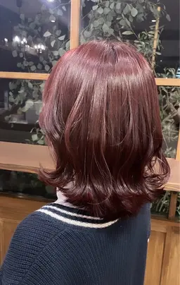 ワンカラー(ミディアム) ※木曜日、金曜日限定