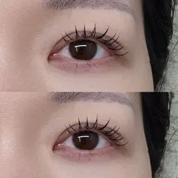 🎀アップワードラッシュ100本