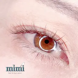 【初回】フラットラッシュ🌸オフ込み🌸100本🌸