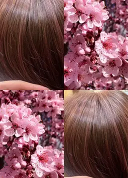 【オシャレ髪】ポイントハイライト➕ワンカラーで大人おしゃれ女性💃✨