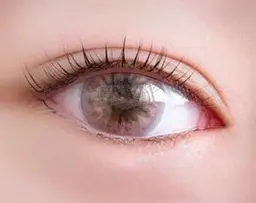 目元の撮影可能なモデル様の限定価格♡3月迄♡平日限定♡上下まつ毛パーマ5500