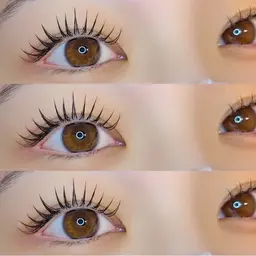 バインドロック🌼[80束]