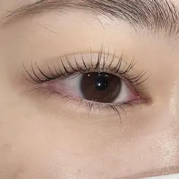 ラッシュリフト上下